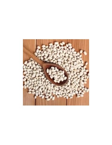 Frijoles Blancos Criollos 2 Lb